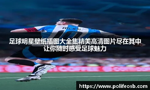 身价450万欧前锋将租借加盟辽宁铁人，曾效力里昂助博塔弗戈夺双冠王